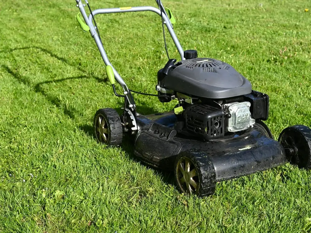 A push mower part-way through cutting a stripe into a green lawn